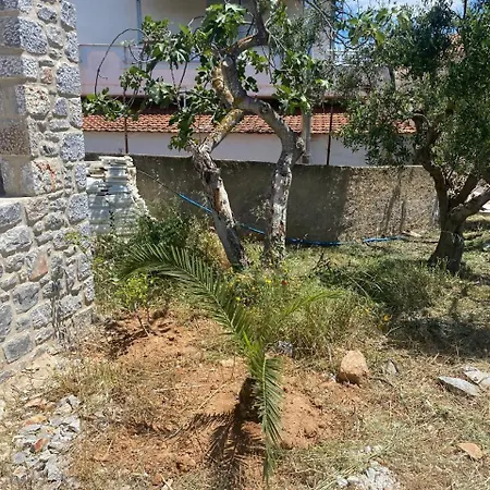 Villa Athina's House Elaia *