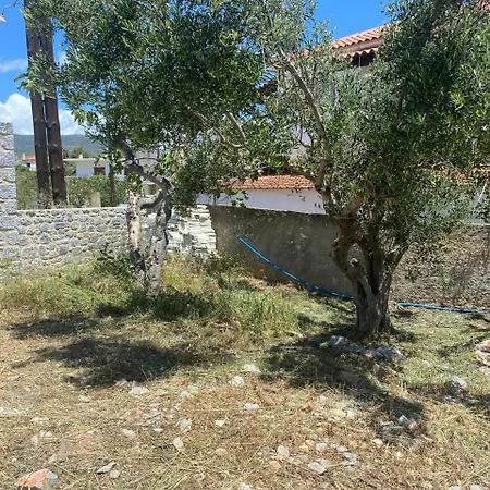 Athina's House Elaia Villa Elia (Laconia)
